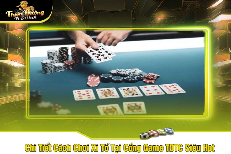 Chi Tiết Cách Chơi Xì Tố Tại Cổng Game TDTC Siêu Hot