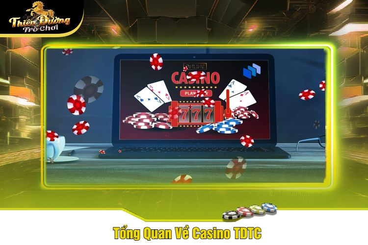 Tổng Quan Về Casino TDTC